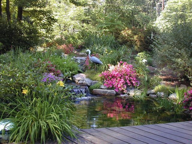 Deck overlooking pond